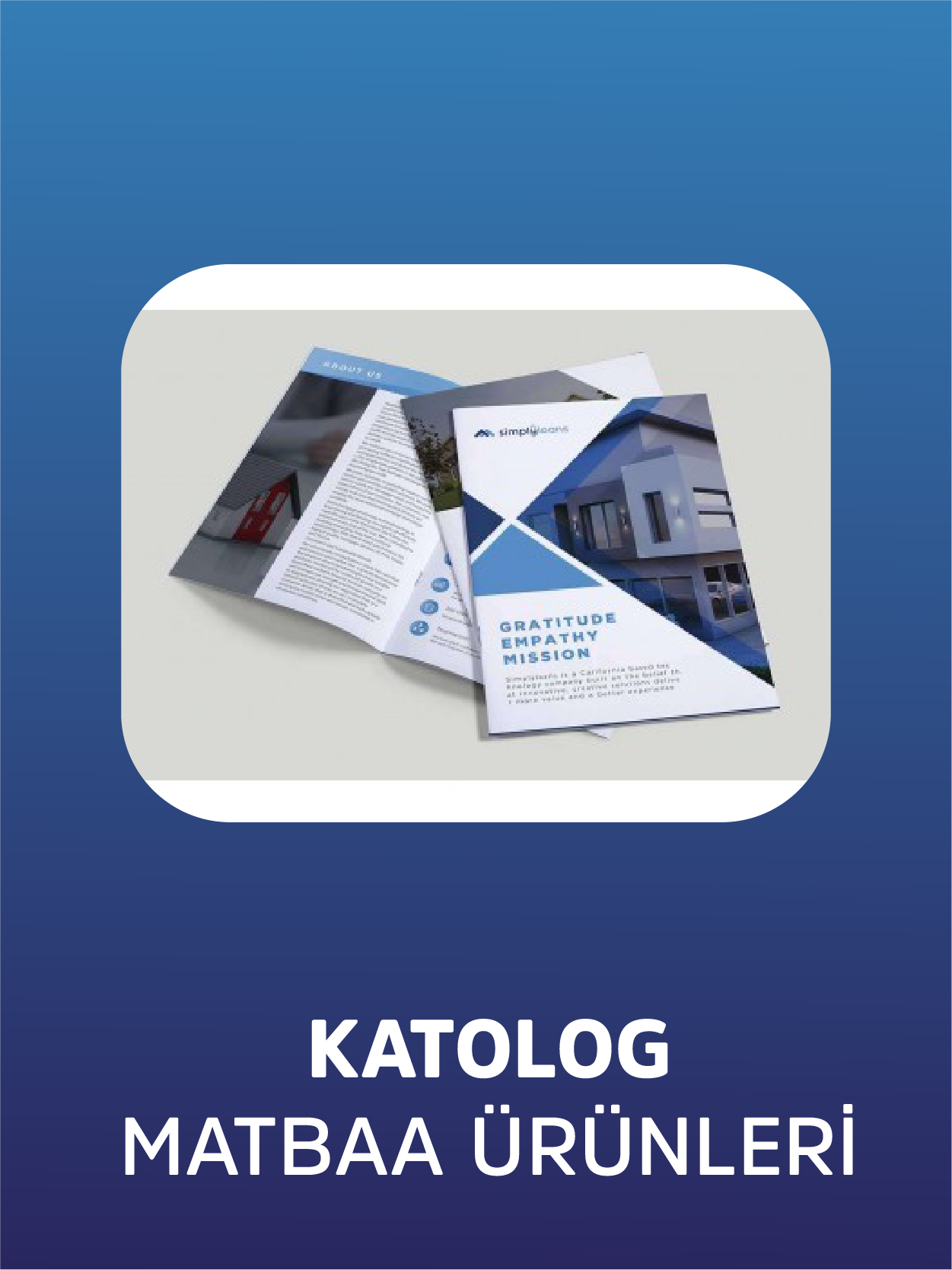 Ürün ve Hizmet Kataloğu Baskısı